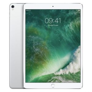 Pro Silver 1 1 600x540 1.jpg